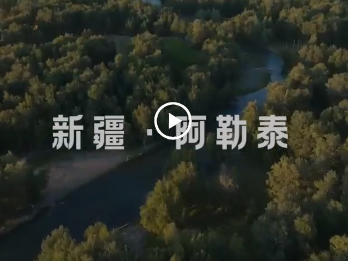 2024年(nian)葵花(huā)節(jie)